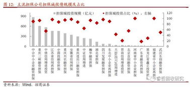 6號文紓民企出新招，堵城投斬?fù)?dān)保——融資性擔(dān)保機(jī)構(gòu)角色再思考